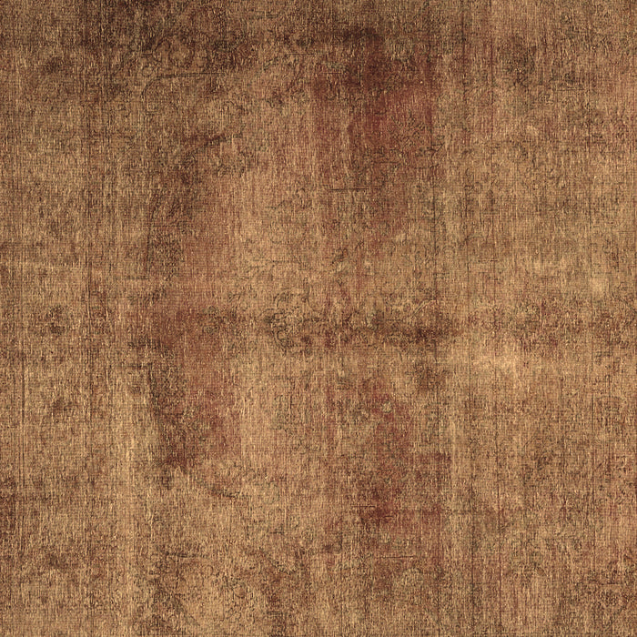 Machine Washable Persian Brown Traditional Rug, wshtr1851brn