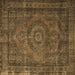 Square Persian Brown Traditional Rug, tr1863brn
