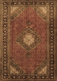 Medallion Brown Traditional Rug, tr1866brn