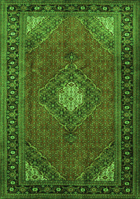 Medallion Green Traditional Rug, tr1866grn