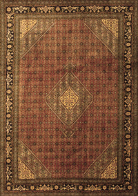 Medallion Brown Traditional Rug, tr1867brn