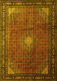 Medallion Yellow Traditional Rug, tr1867yw