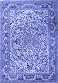 Medallion Blue Traditional Rug, tr1868blu