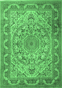 Medallion Emerald Green Traditional Rug, tr1868emgrn