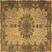 Square Machine Washable Persian Brown Traditional Rug, wshtr1870brn