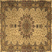 Square Persian Brown Traditional Rug, tr1870brn