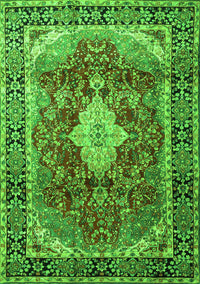 Persian Green Traditional Rug, tr1872grn
