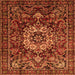 Round Machine Washable Persian Orange Traditional Area Rugs, wshtr1874org