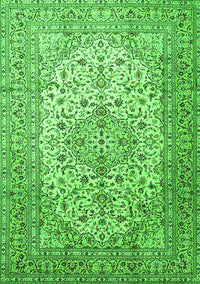 Persian Green Traditional Rug, tr1877grn