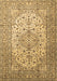 Machine Washable Persian Brown Traditional Rug, wshtr1877brn