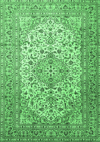Persian Emerald Green Traditional Rug, tr1877emgrn