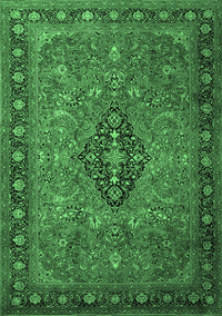 Medallion Emerald Green Traditional Rug, tr1879emgrn