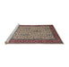 Sideview of Machine Washable Traditional Light French Beige Brown Rug, wshtr1880