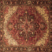 Square Machine Washable Persian Brown Traditional Rug, wshtr1881brn