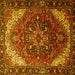 Square Persian Yellow Traditional Rug, tr1881yw