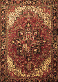 Persian Brown Traditional Rug, tr1881brn