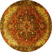 Round Persian Yellow Traditional Rug, tr1881yw