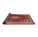 Sideview of Traditional Red Medallion Rug, tr1883