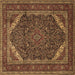 Square Machine Washable Persian Brown Traditional Rug, wshtr1885brn