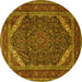 Round Machine Washable Persian Yellow Traditional Rug, wshtr1885yw