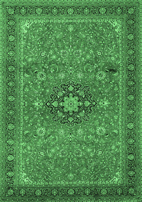 Medallion Emerald Green Traditional Rug, tr1887emgrn