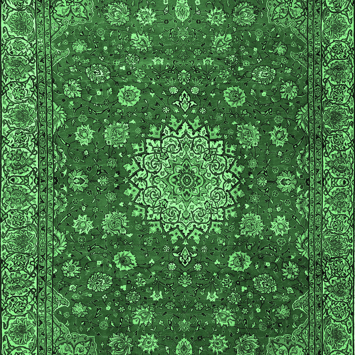 Medallion Emerald Green Traditional Rug, tr1888emgrn
