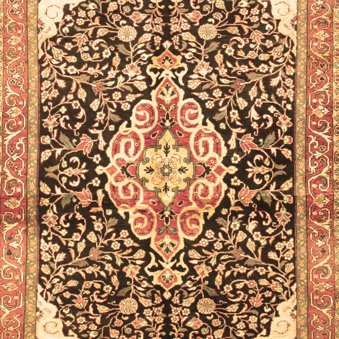 Medallion Brown Traditional Rug, tr188brn