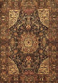 Medallion Brown Traditional Rug, tr1891brn