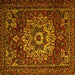 Square Machine Washable Persian Yellow Traditional Rug, wshtr1896yw