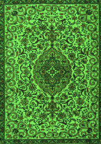 Persian Green Traditional Rug, tr1898grn