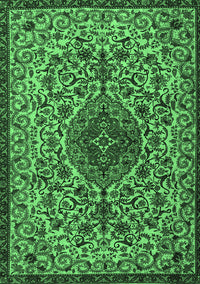 Persian Emerald Green Traditional Rug, tr1898emgrn