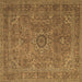Square Persian Brown Traditional Rug, tr1899brn