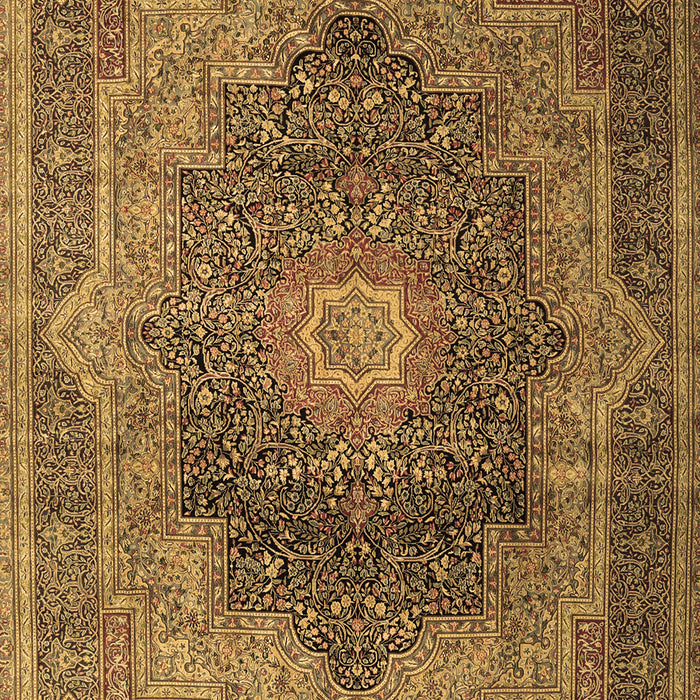 Medallion Brown Traditional Rug, tr1901brn