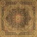 Square Machine Washable Medallion Brown Traditional Rug, wshtr1901brn