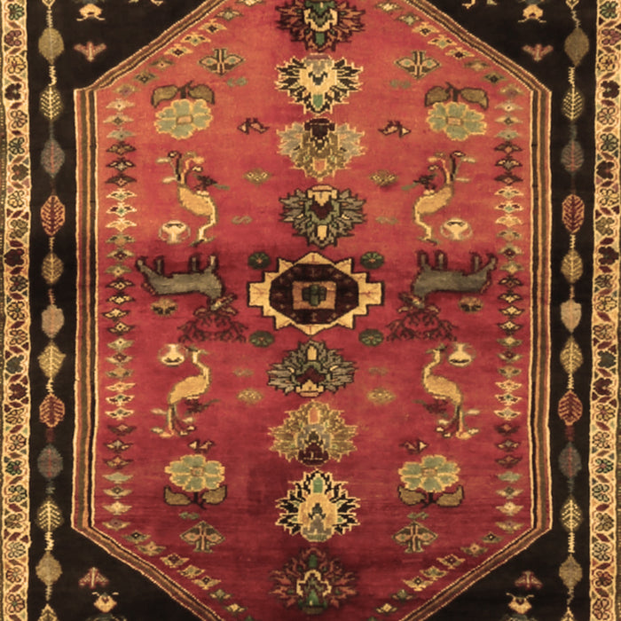 Animal Brown Traditional Rug, tr1905brn