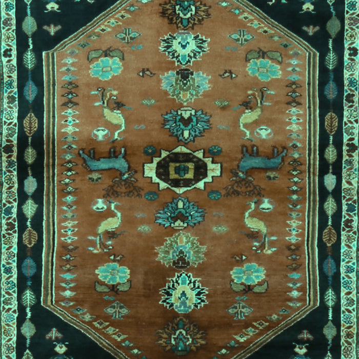 Machine Washable Animal Turquoise Traditional Area Rugs, wshtr1905turq