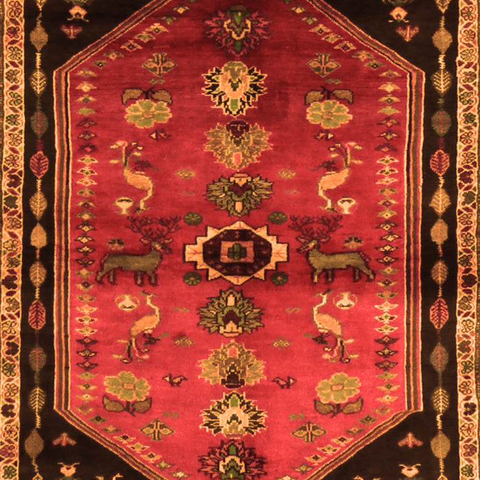 Serging Thickness of Machine Washable Animal Orange Traditional Area Rugs, wshtr1905org