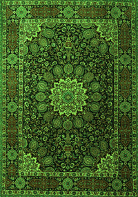 Persian Green Traditional Rug, tr1912grn