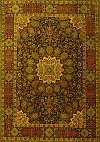 Persian Yellow Traditional Rug, tr1912yw