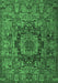 Machine Washable Animal Emerald Green Traditional Area Rugs, wshtr1915emgrn