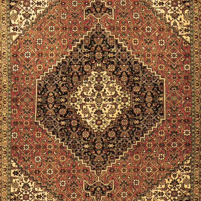 Persian Brown Traditional Rug, tr1916brn