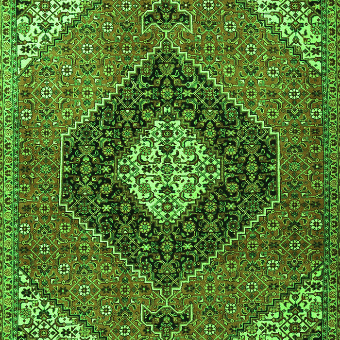 Persian Green Traditional Rug, tr1916grn