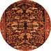 Square Animal Orange Traditional Rug, tr1920org