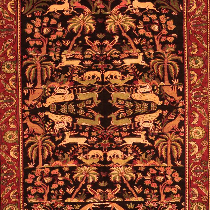 Serging Thickness of Machine Washable Animal Orange Traditional Area Rugs, wshtr1920org