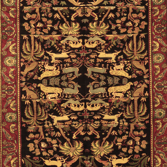 Machine Washable Animal Brown Traditional Rug, wshtr1920brn