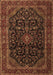 Machine Washable Persian Brown Traditional Rug, wshtr1922brn