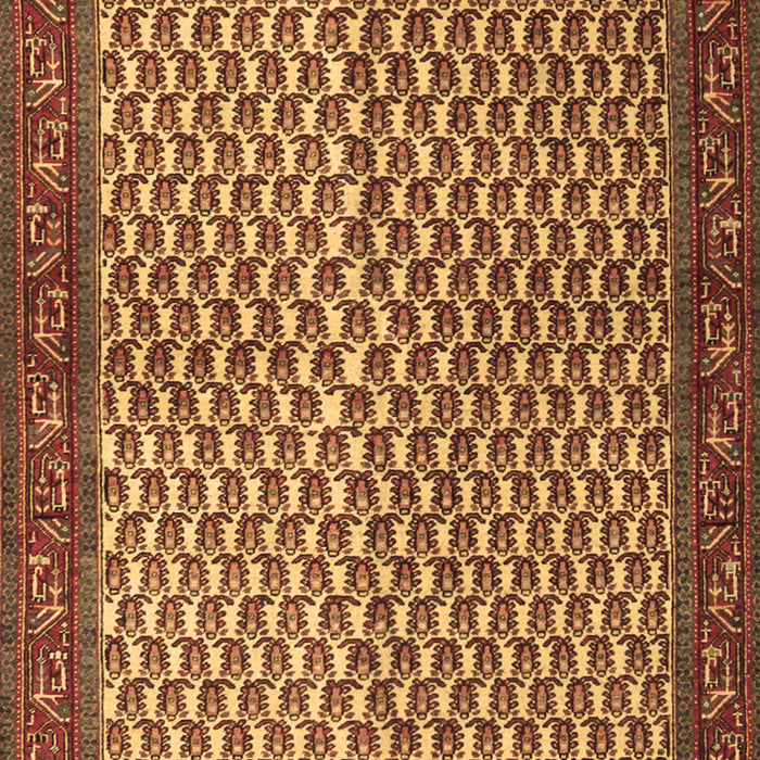 Persian Brown Traditional Rug, tr1923brn