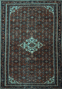 Persian Light Blue Traditional Rug, tr1925lblu