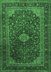 Persian Emerald Green Traditional Rug, tr1926emgrn