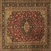 Square Machine Washable Persian Brown Traditional Rug, wshtr1926brn